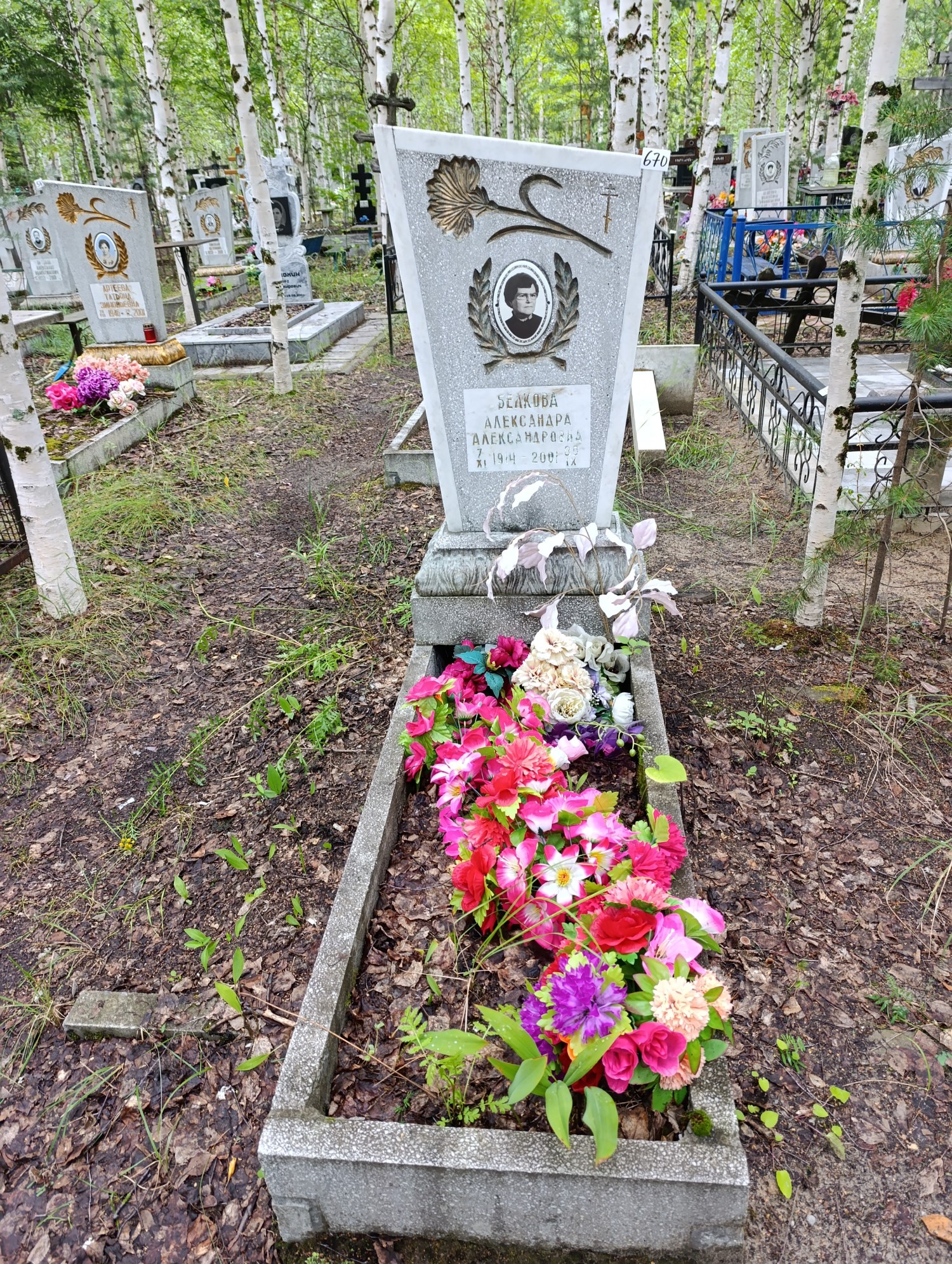Белкова Александра Александровна