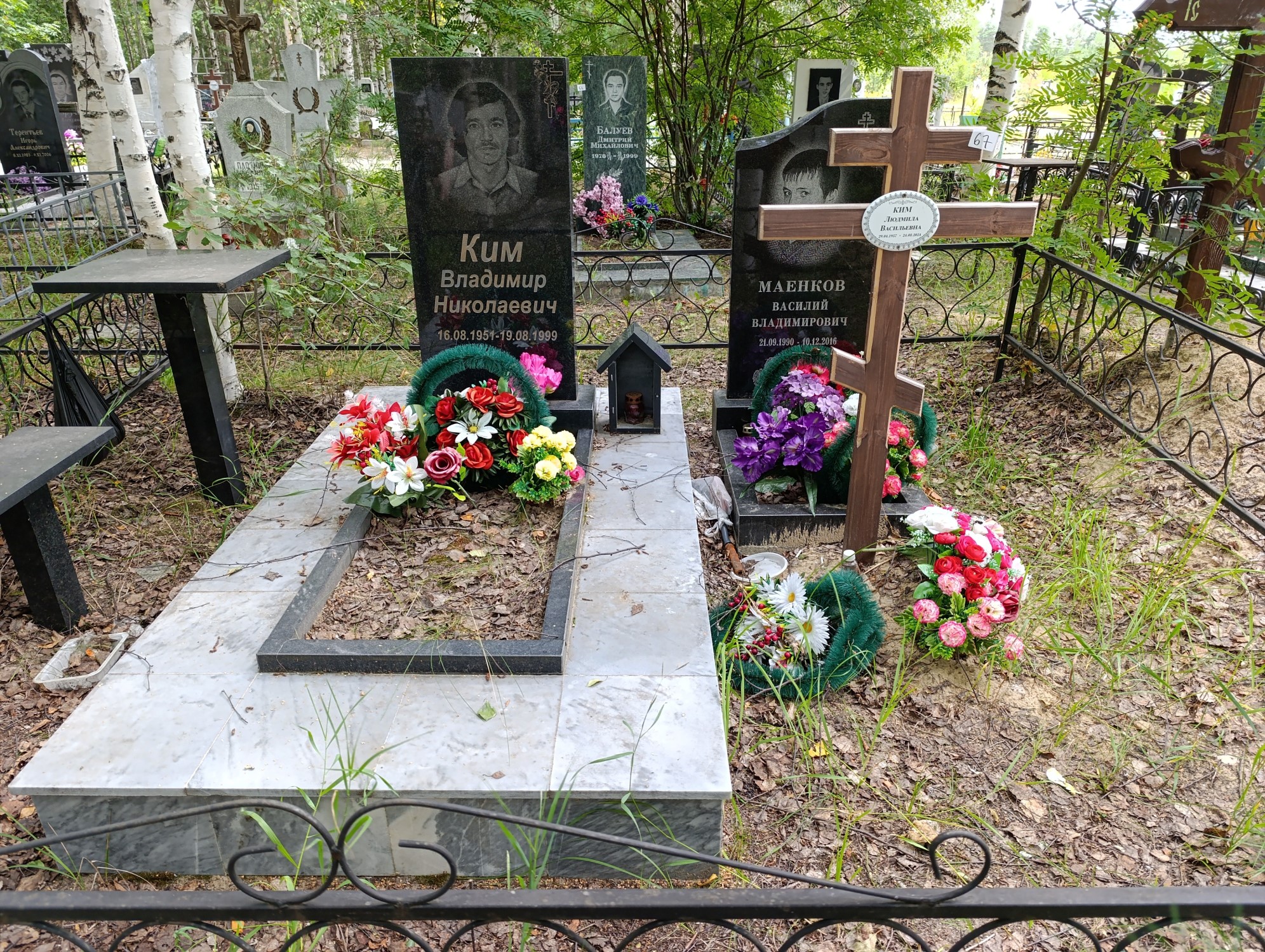 Ким Владимир Николаевич