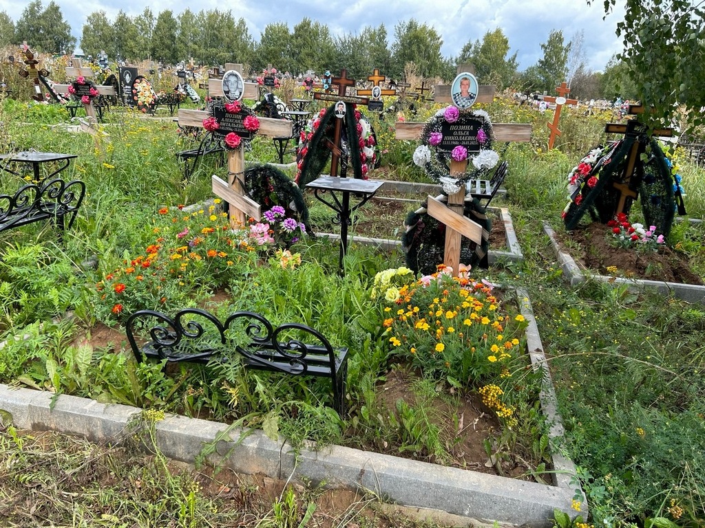 Позин Александр Витальевич