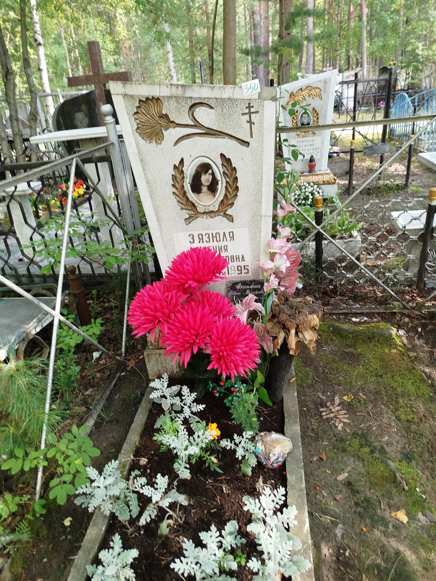 Зязюля Ксения Владимировна