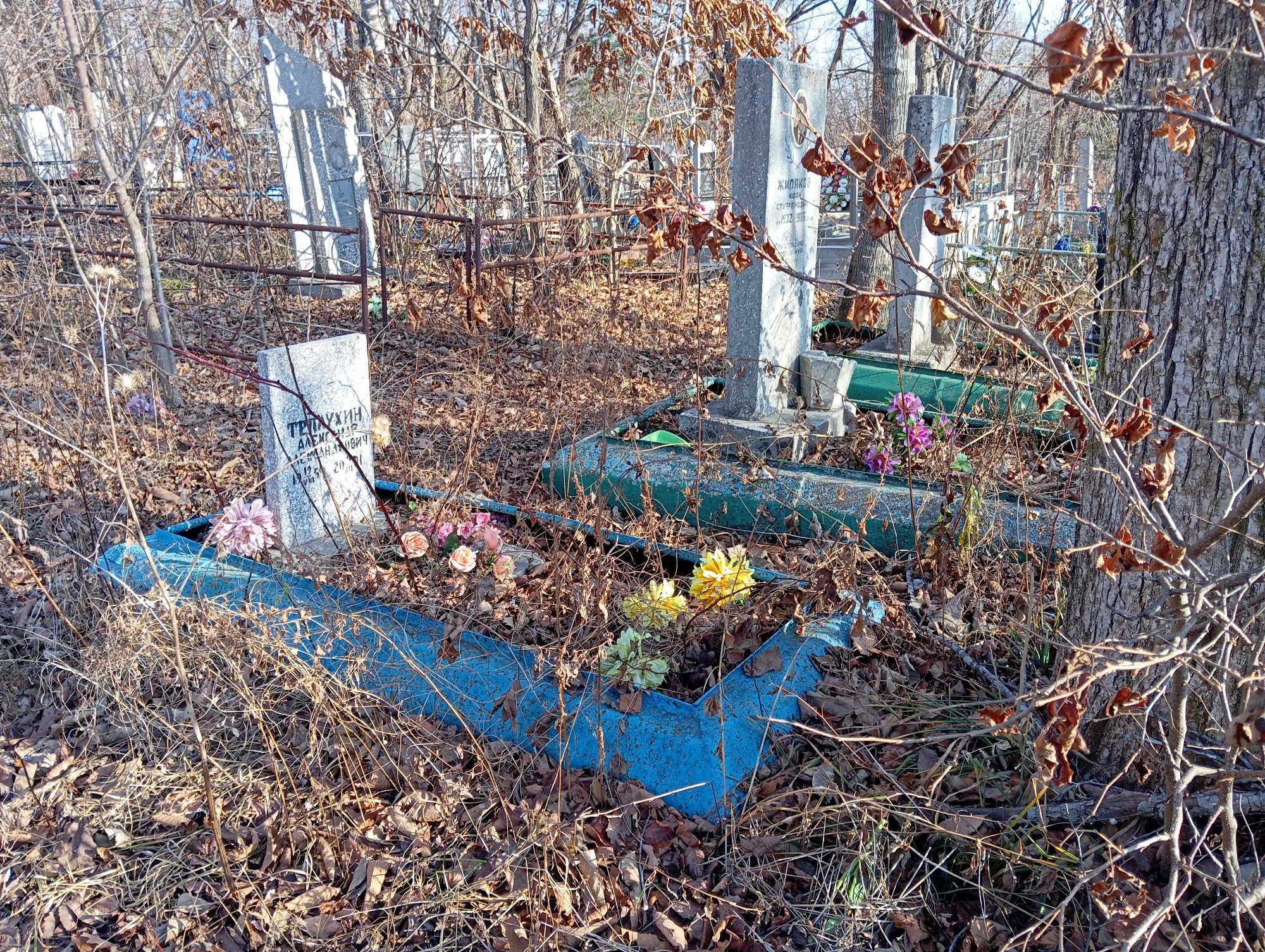 Теплухин Александр Александрович