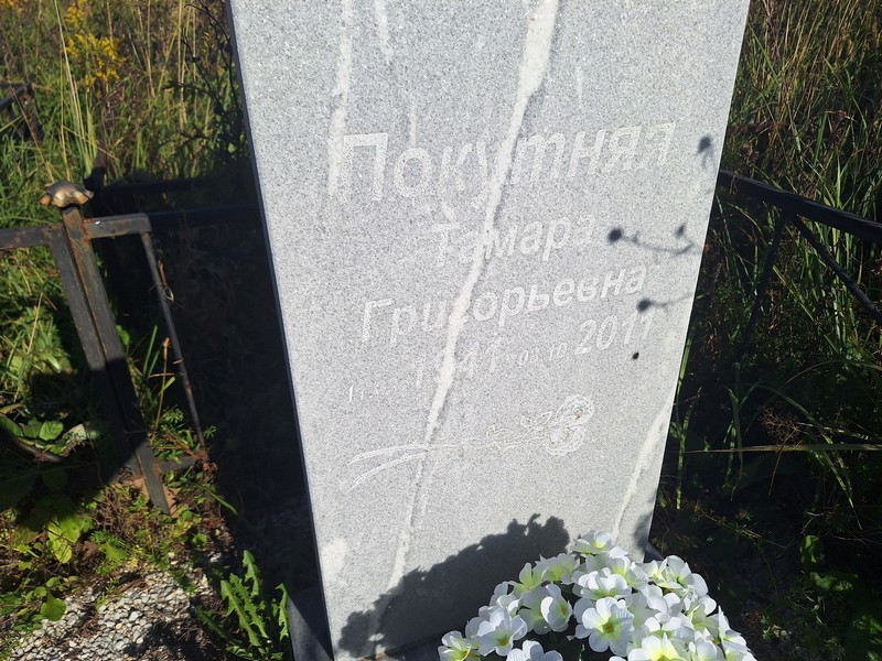 Покутняя