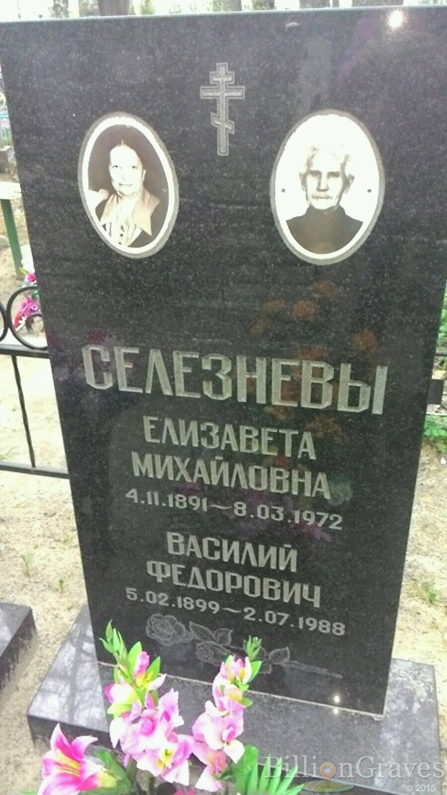 Селезнева Елизавета Михайловна