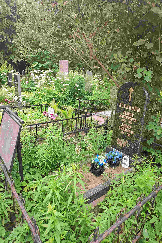 Логинов Алексей Васильевич