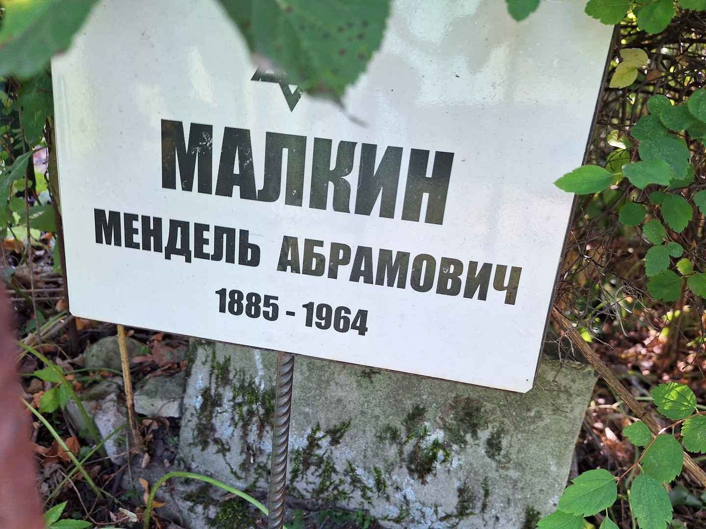 Мендель Малкин Абрамович