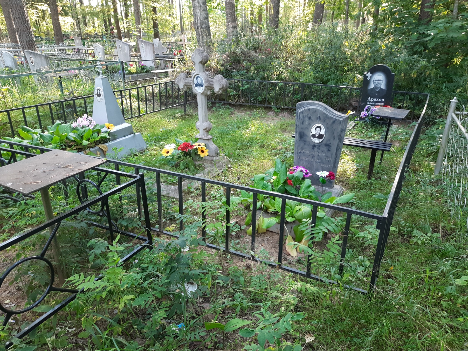 Арехов Александр Юрьевич