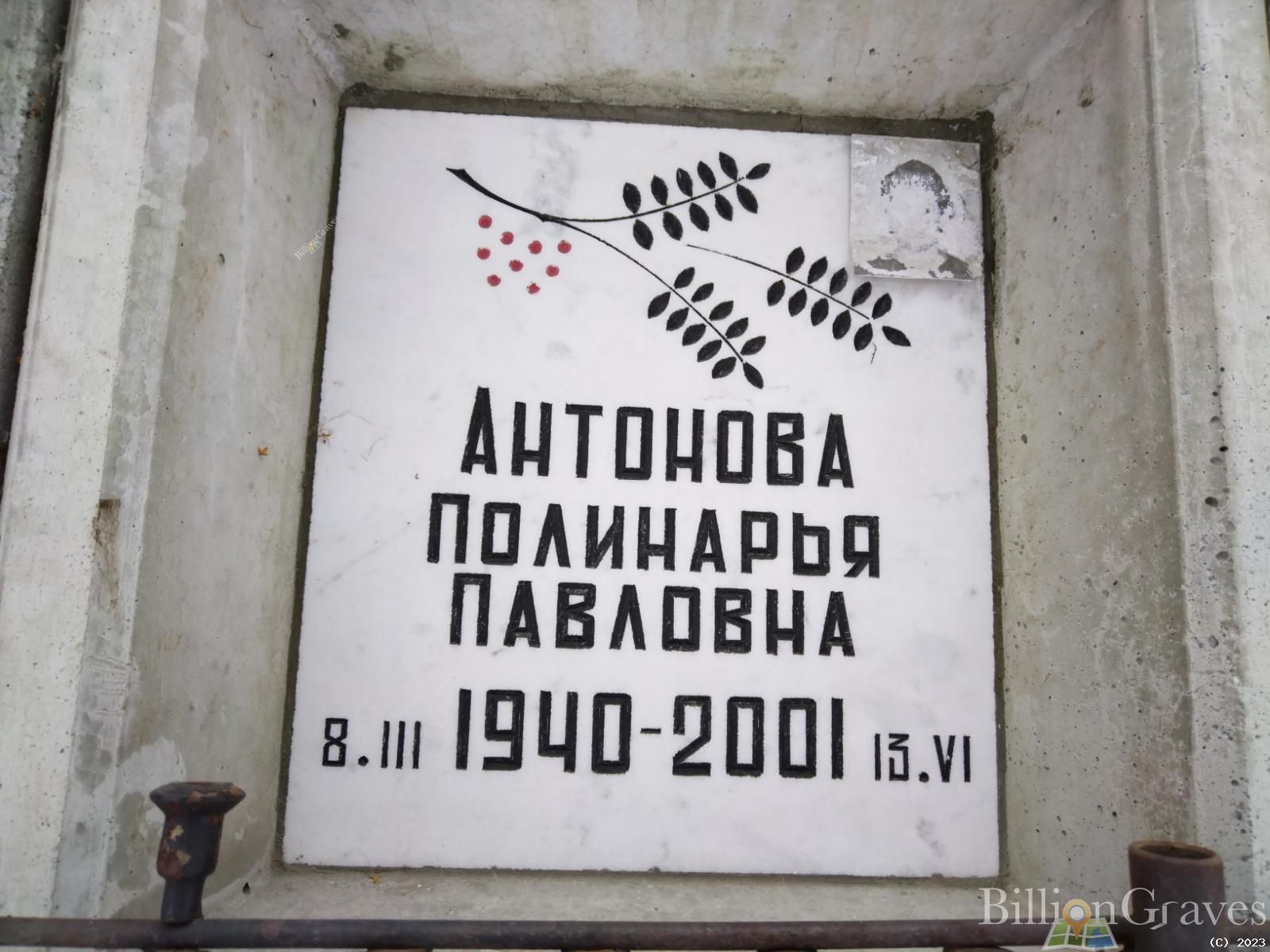 Антонова Полина Павловна