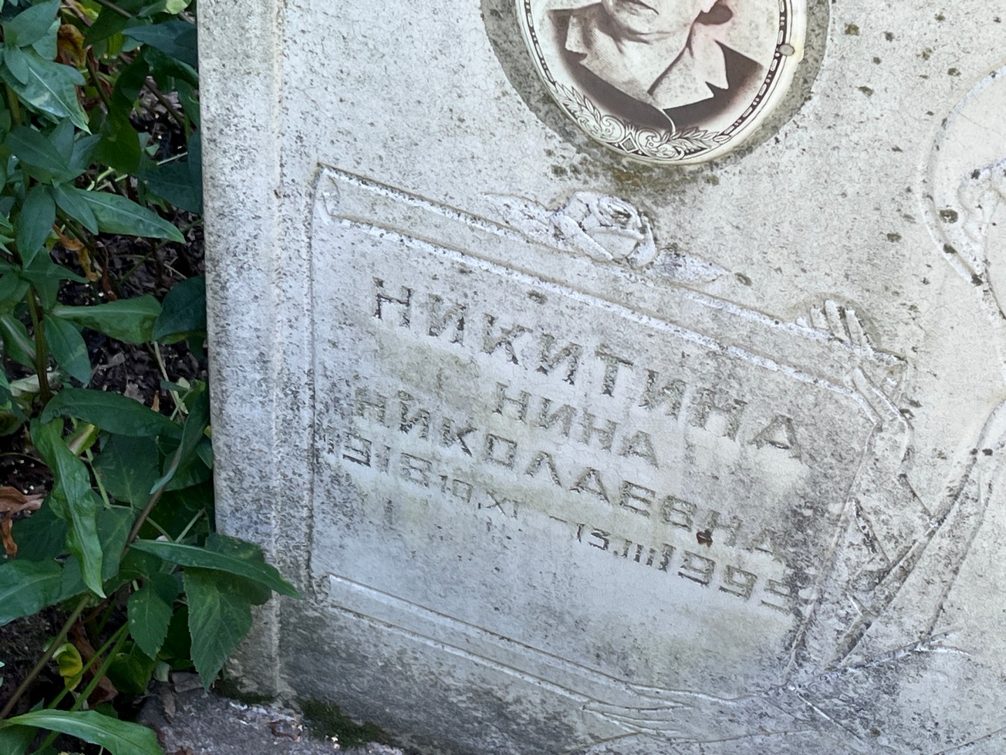Никитина