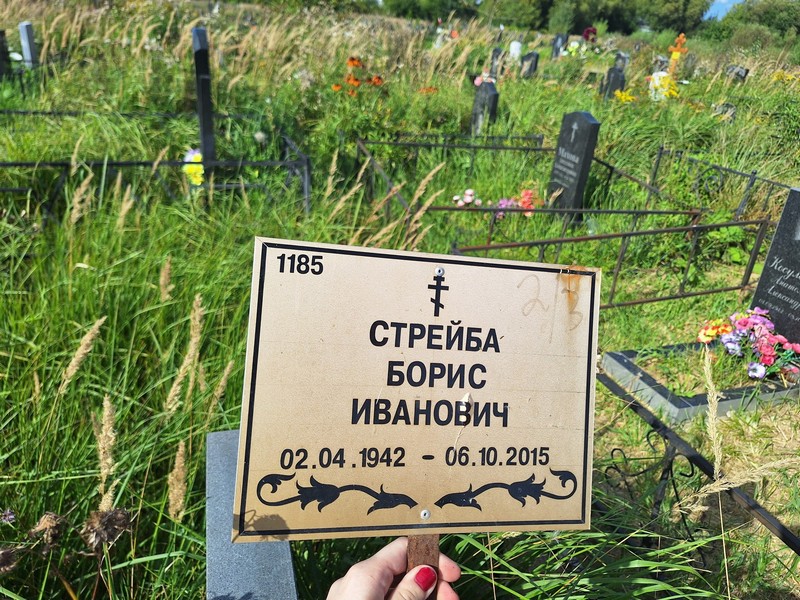 Стрейба