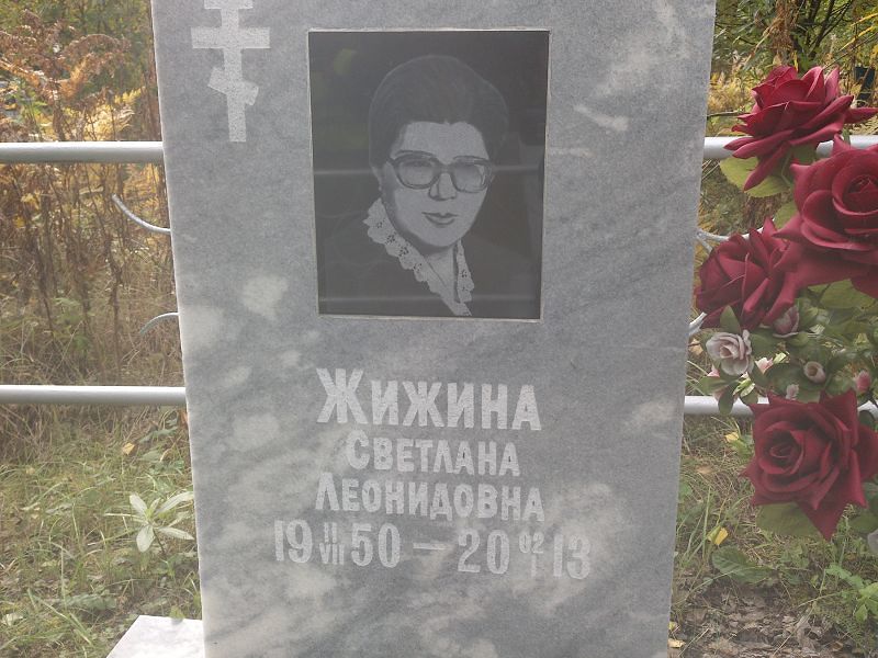 Жижина
