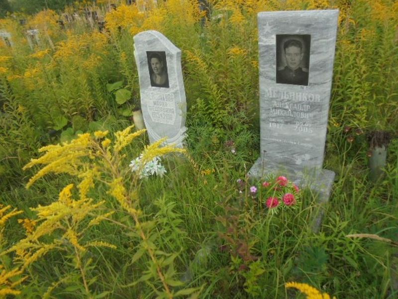 Мельников Александр Михайлович