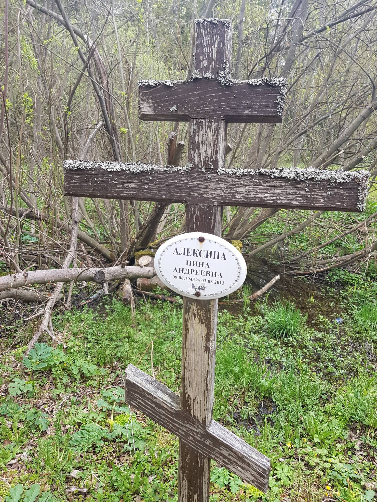 Алексина Нина Андреевна