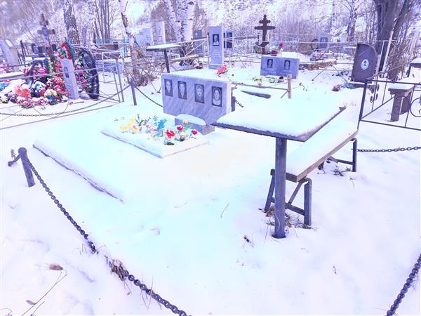 Кашина Анна Николаевна