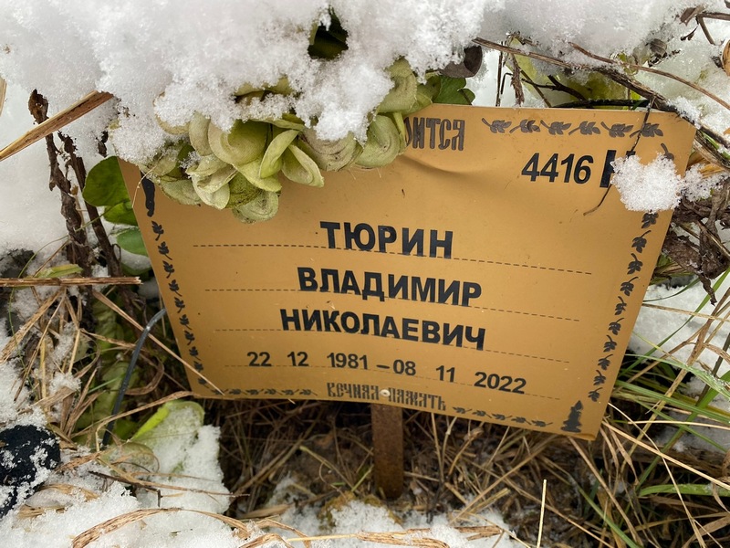 Тюрин