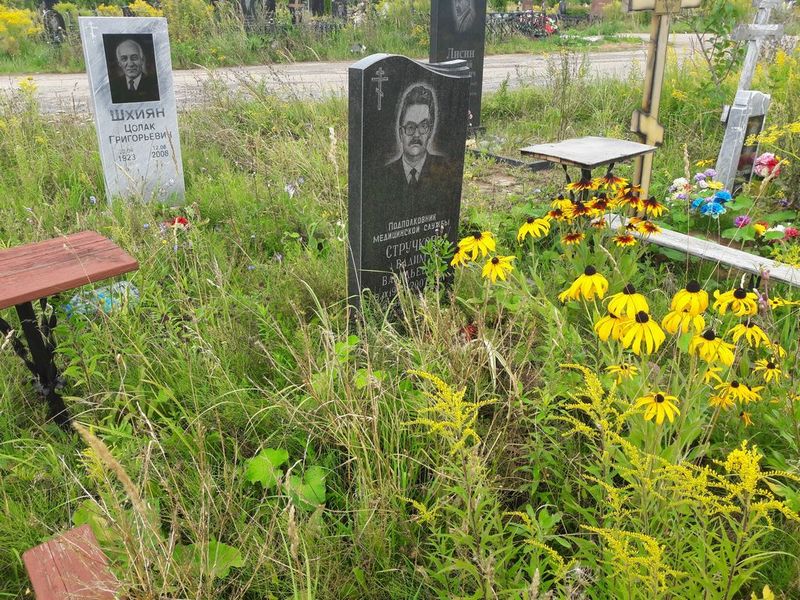 Стручков Вадим Васильевич