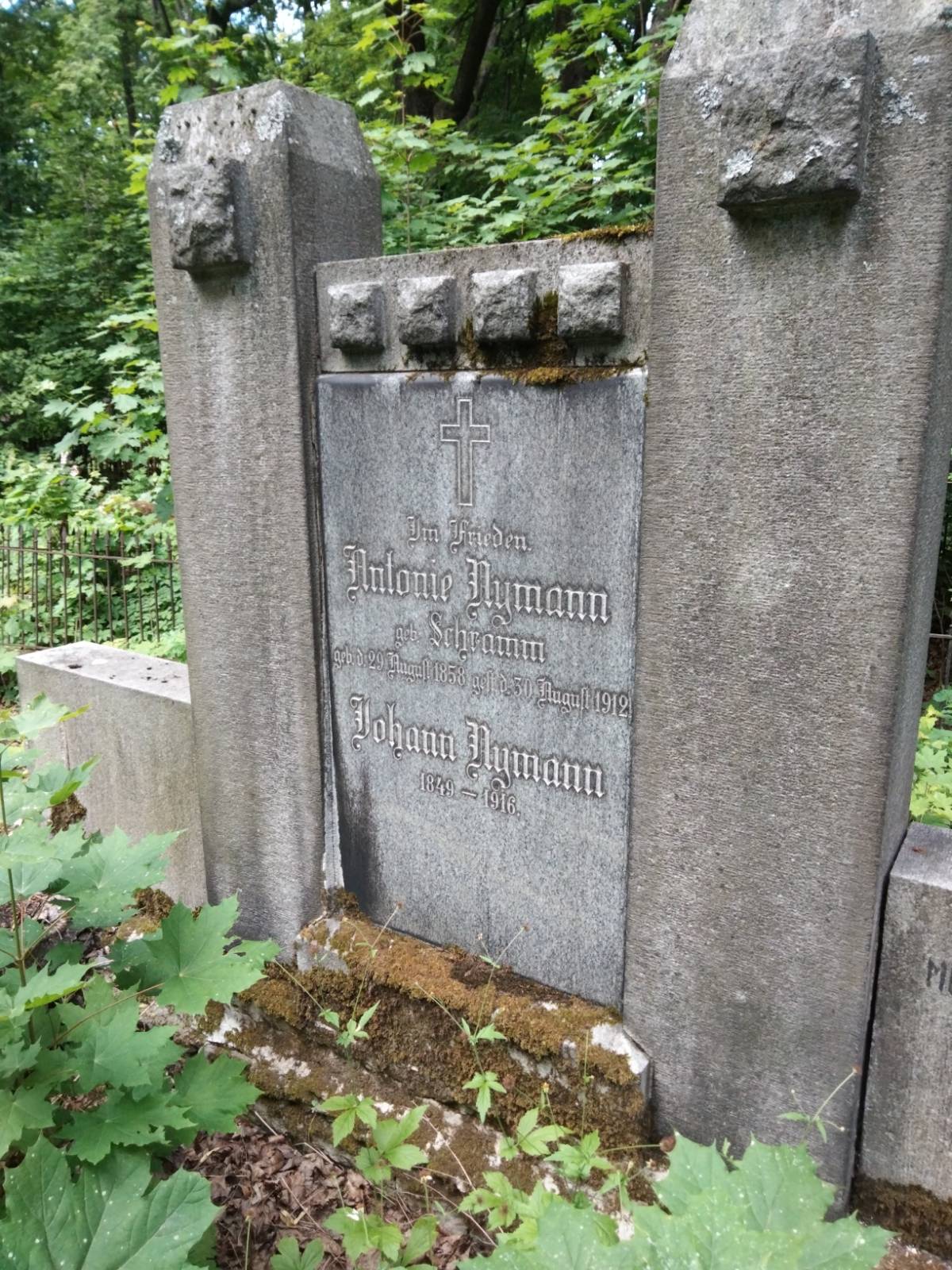 Nymann Antonie