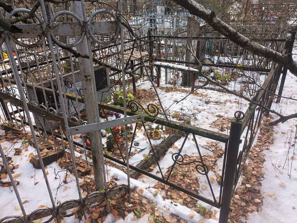 Шилов Николай Николаевич