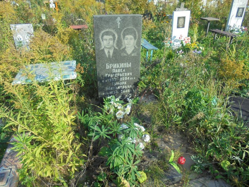 Брикин Павел Григорьевич