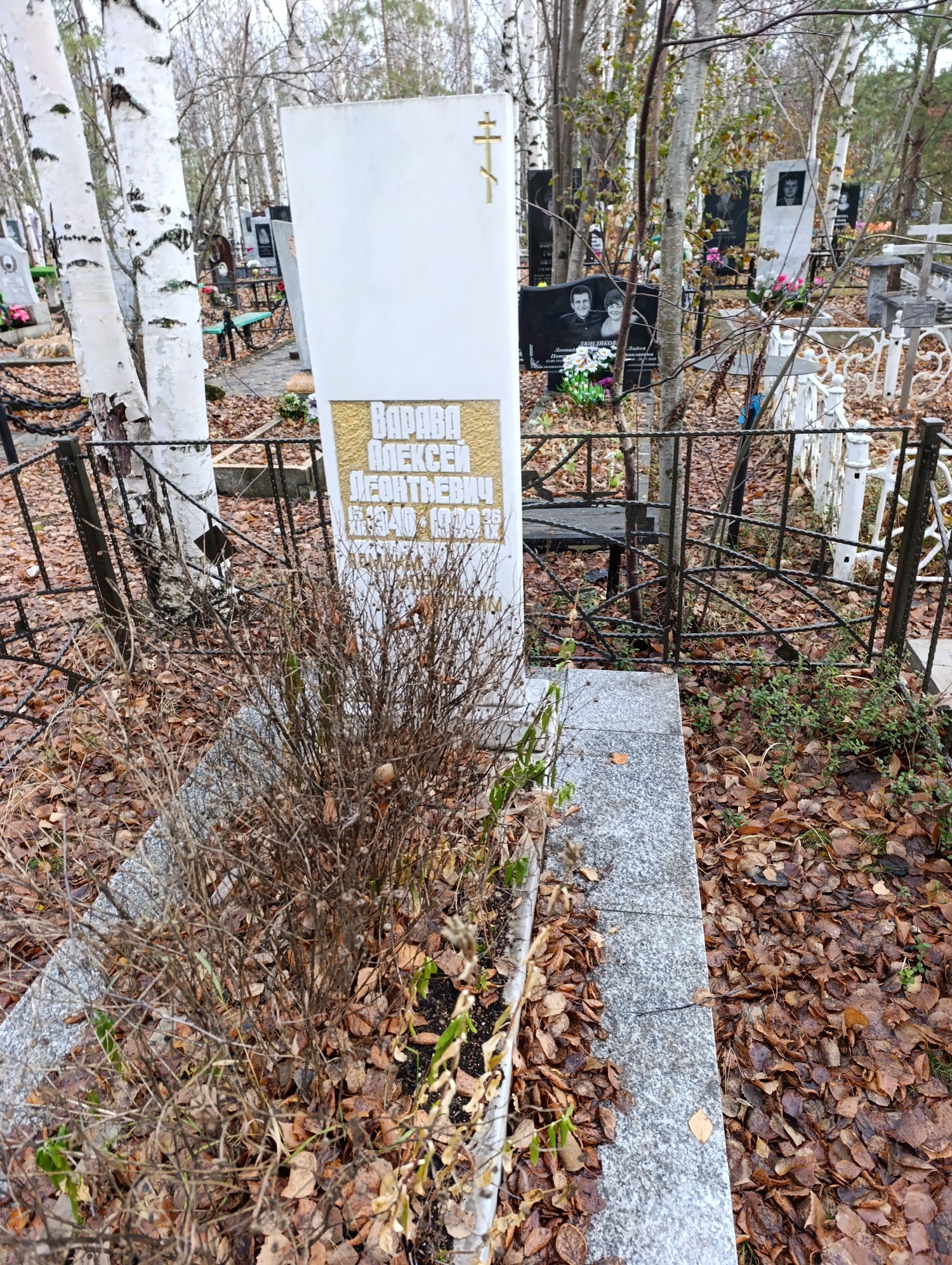 Варава Алексей Леонтьевич
