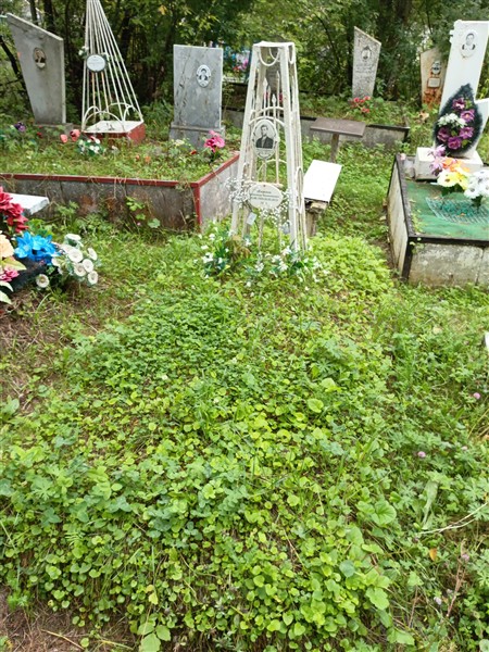 Черемных Альберт Иванович