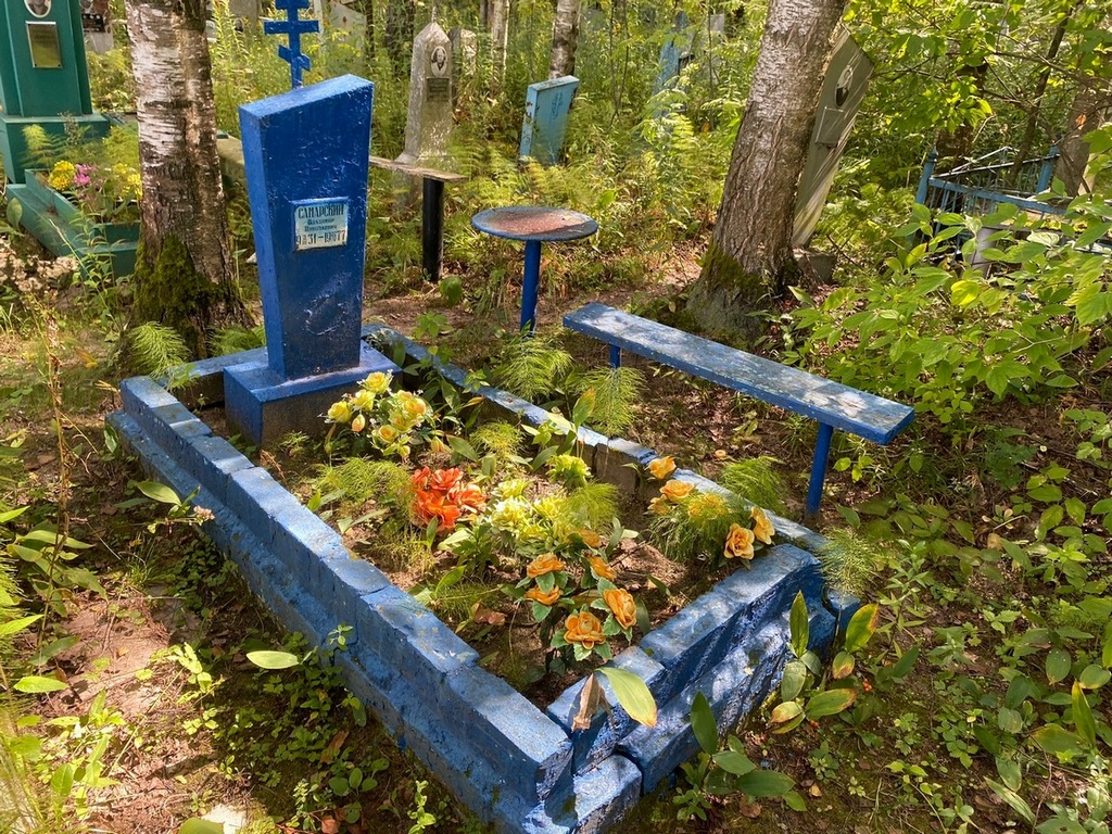 Самарский Владимир Николаевич