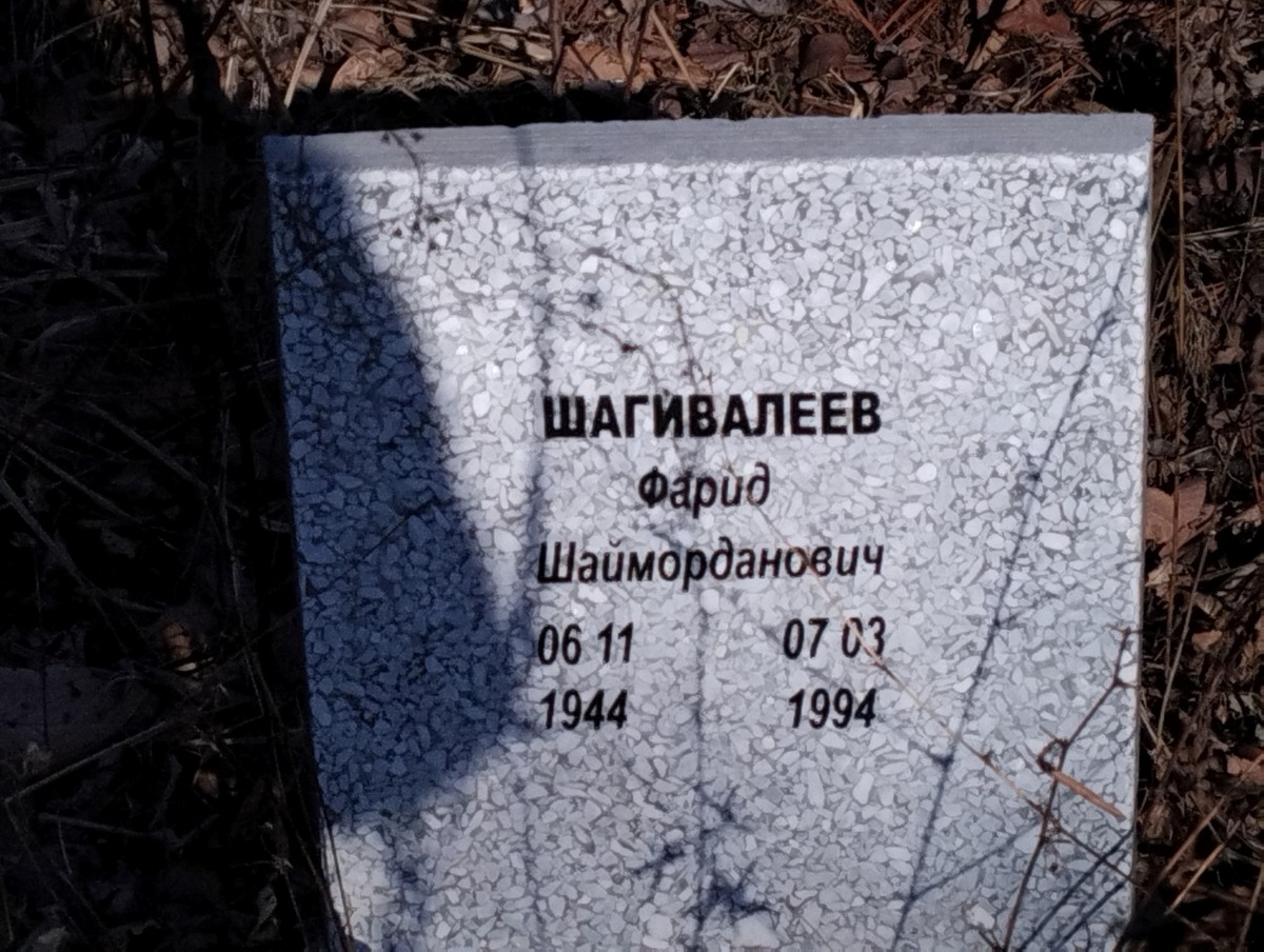 Шагивалеев Фарид Шаморданович