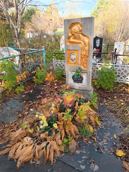 Швецов Дмитрий Николаевич
