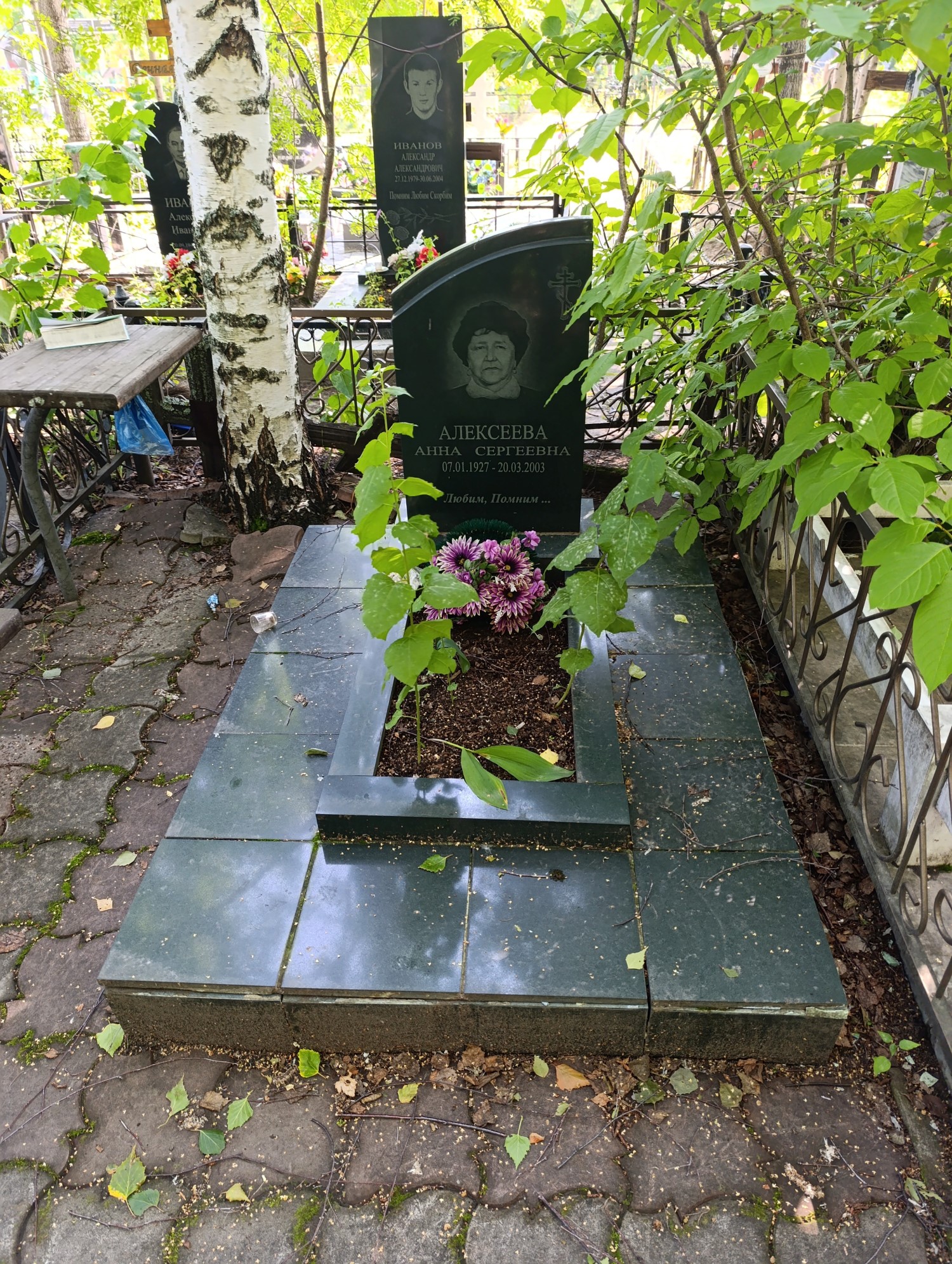 Алексеева Анна Сергеевна