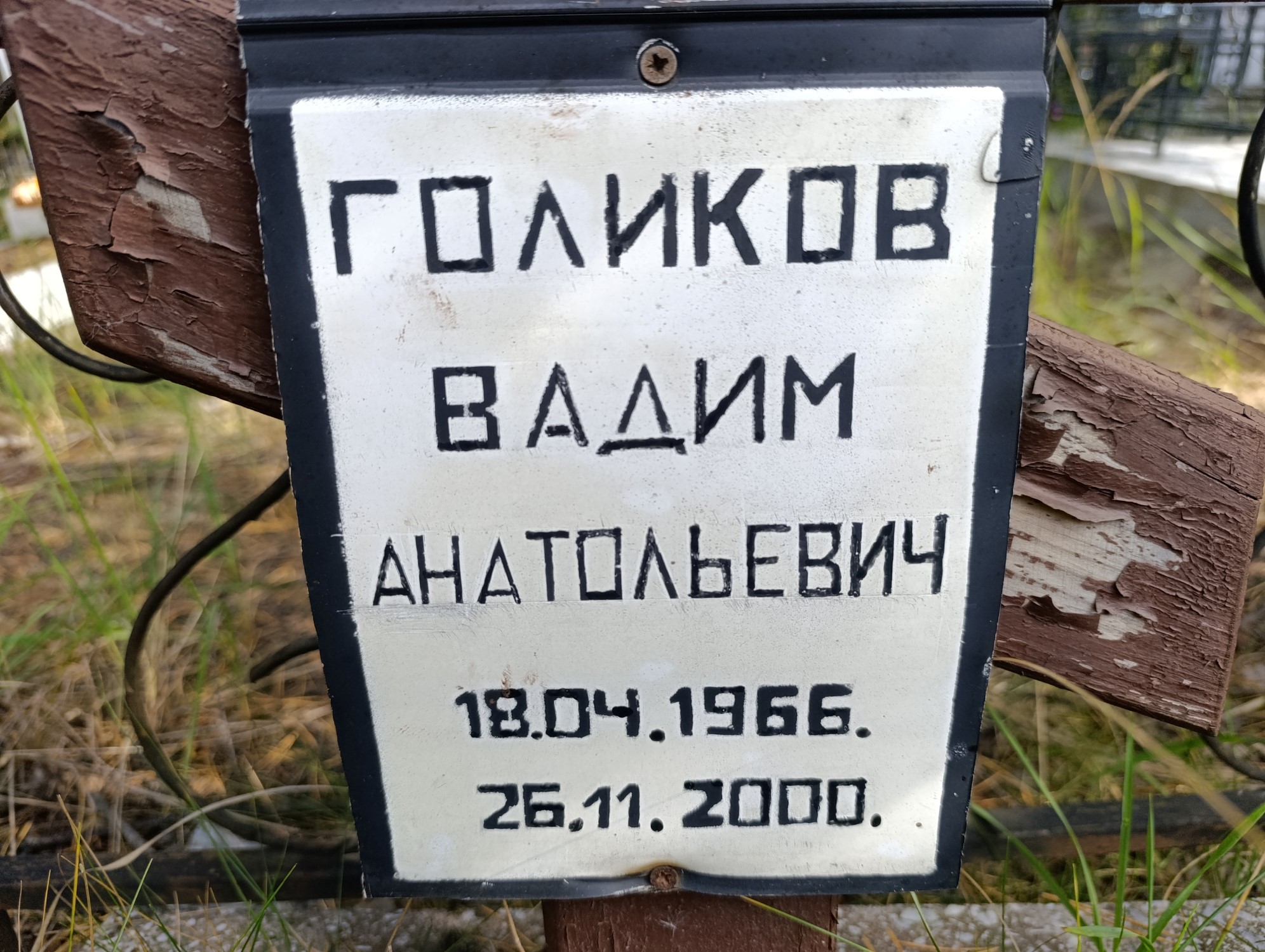 Голиков Вадим Анатольевич