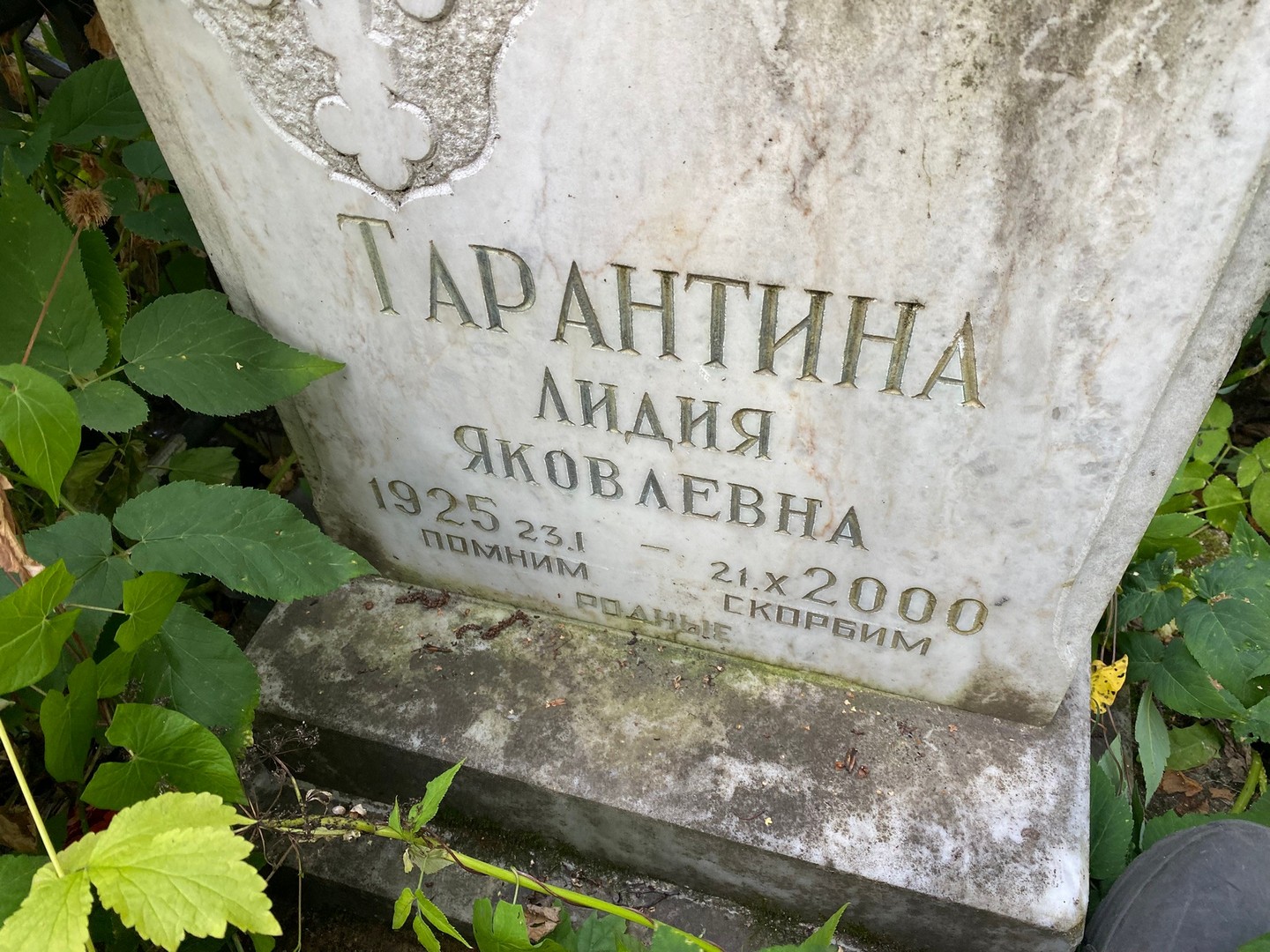 Тарантина