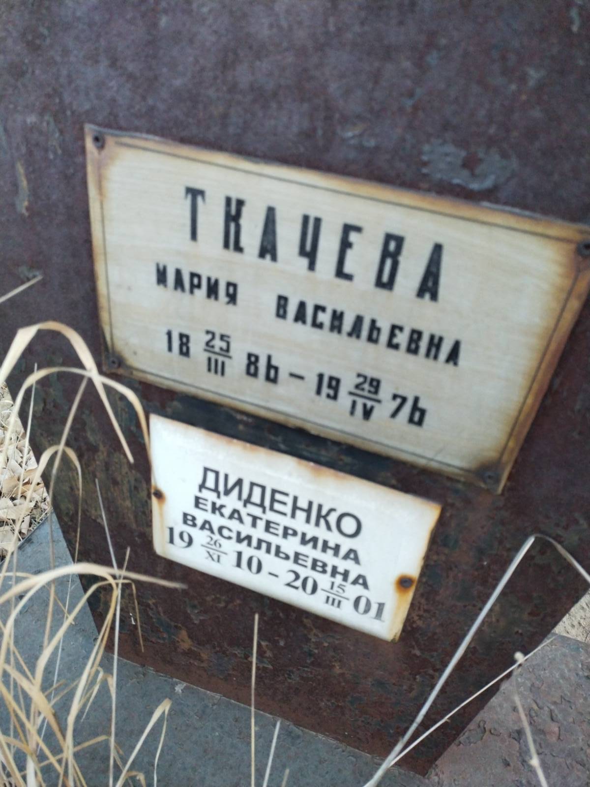 Ткачева Мария Васильевна