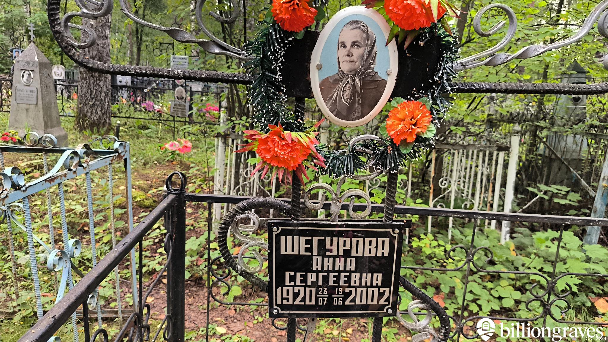 Шегурова Анна Сергеевна