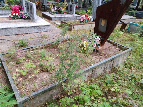 Кузнецов Семен Алексеевич