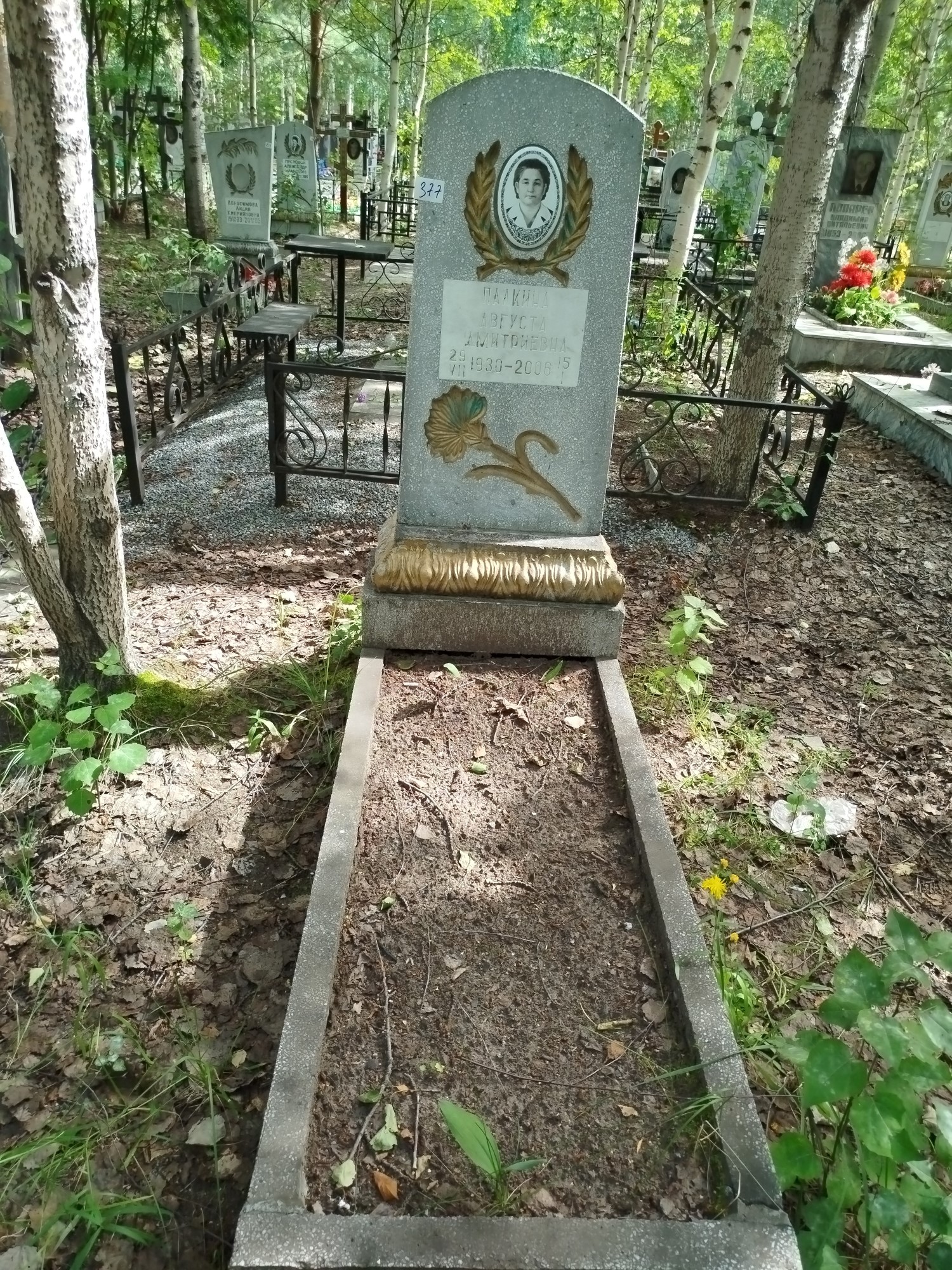 Палкина Августина Дмитриевна