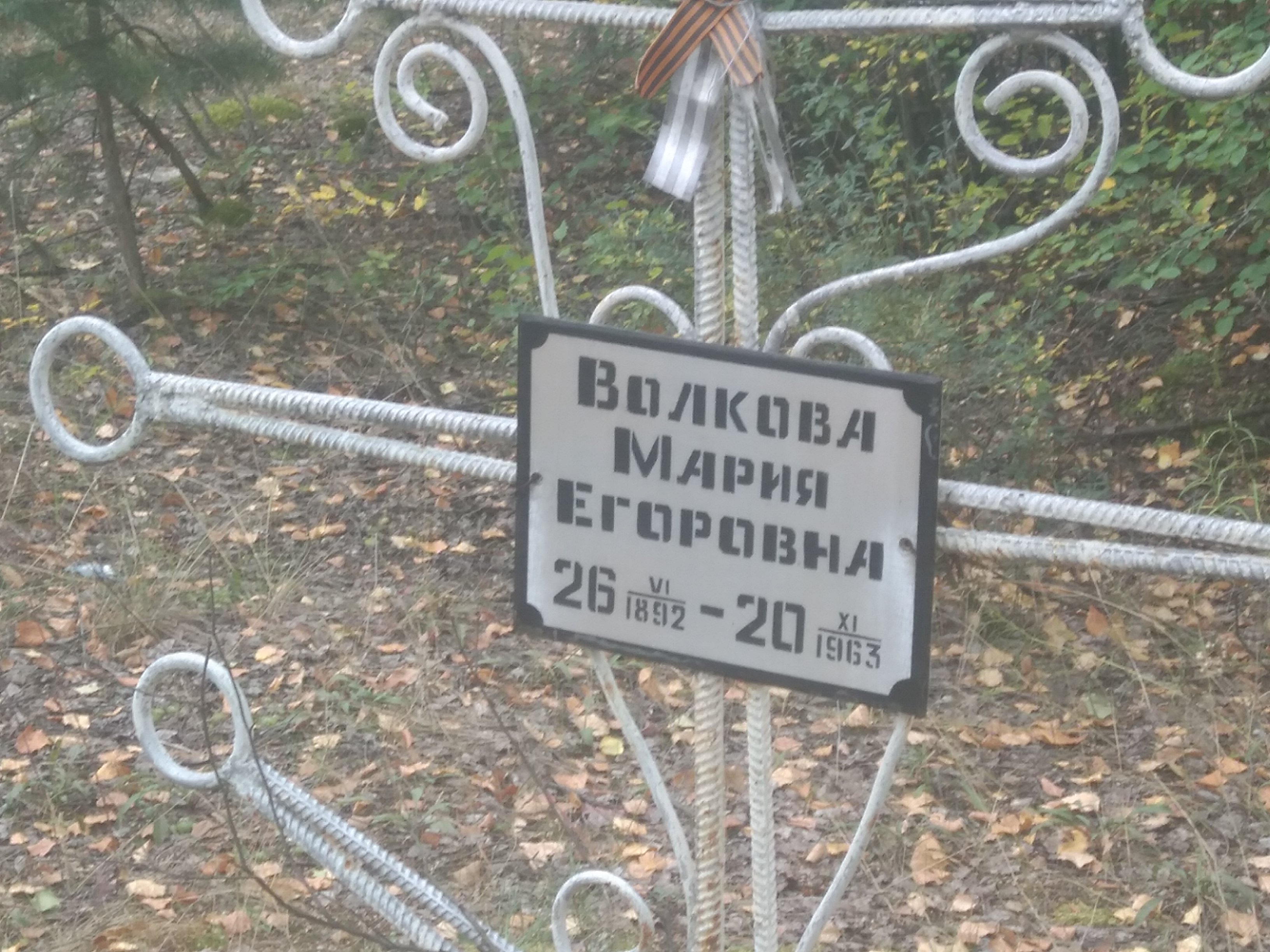 Волкова Мария Егоровна