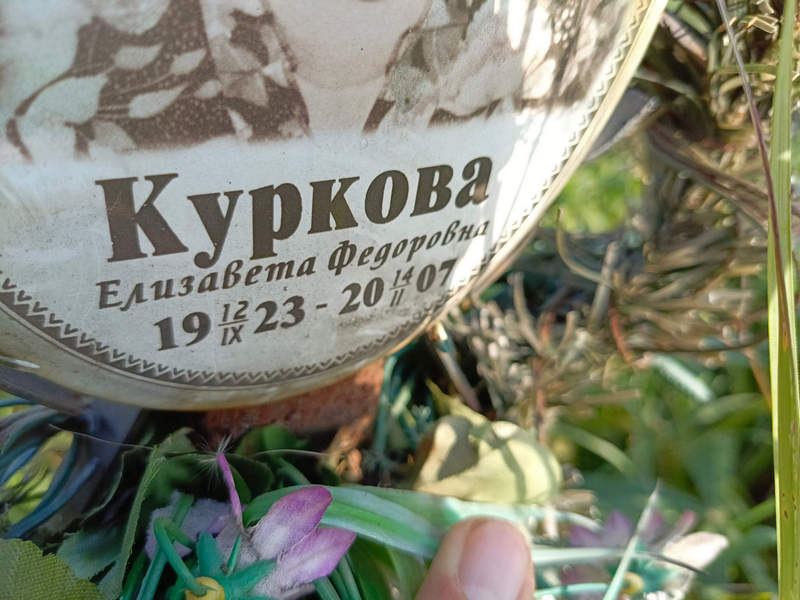 Куркова