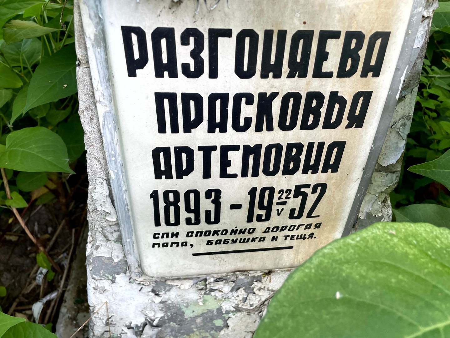 Разгоняева Прасковья Артемовна