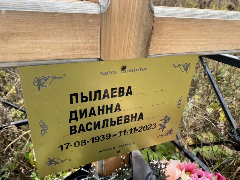Дианна Пылаева Васильевна