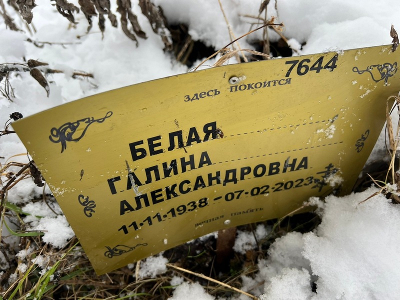 Белая