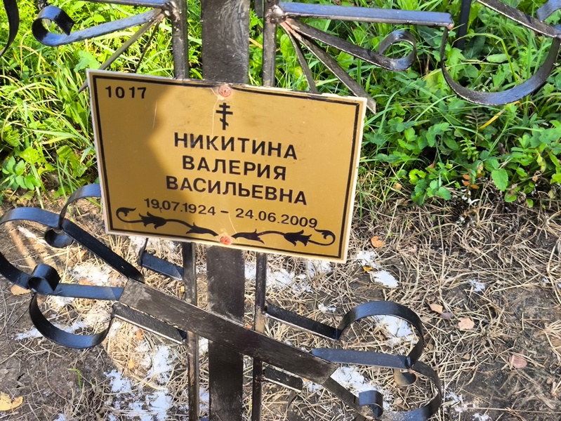 Никитина Валерия Васильевна
