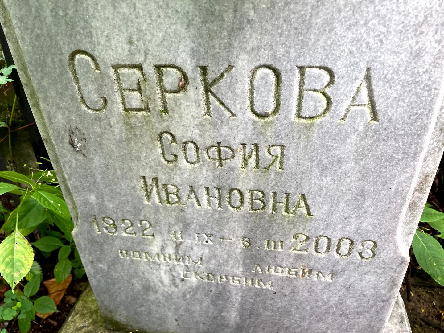 София Серкова Ивановна