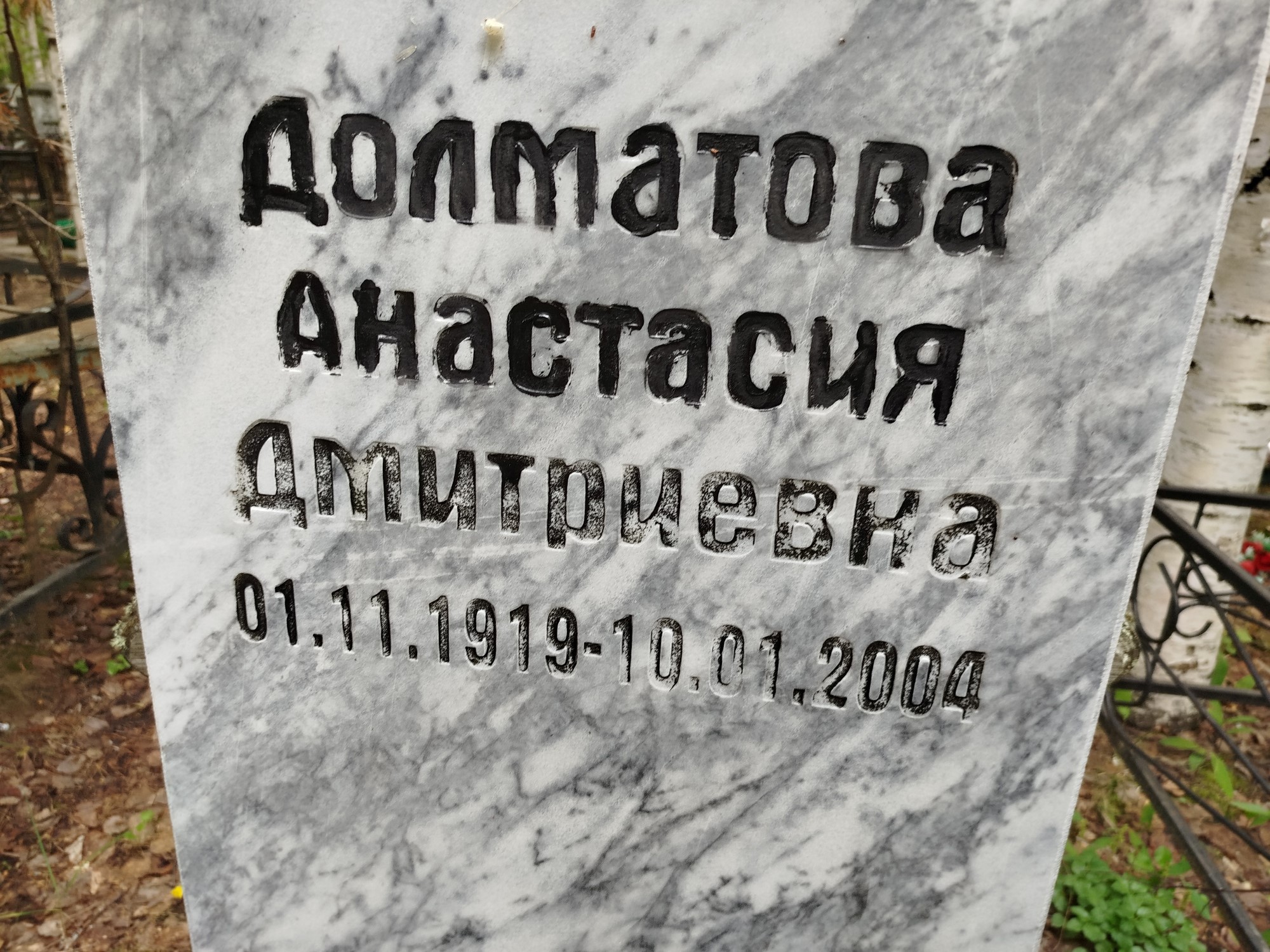 Долматова Анастасия Дмитриевна