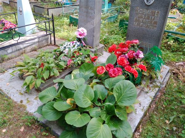 Бабинова Тамара Аркадьевна
