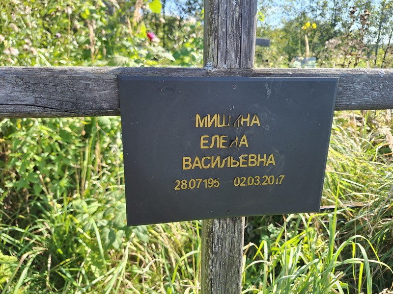 Мишина
