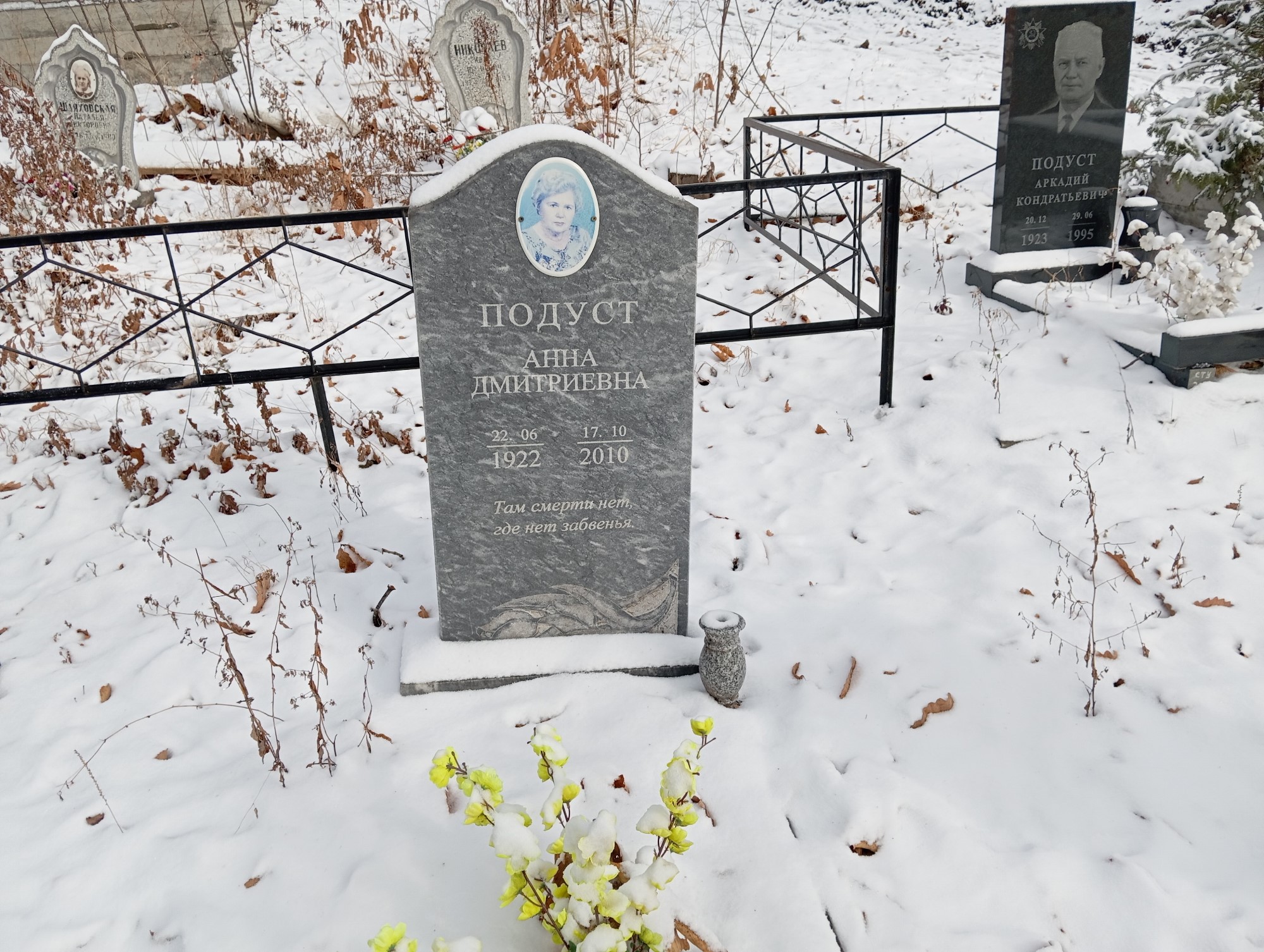 Подуст Анна Дмитриевна