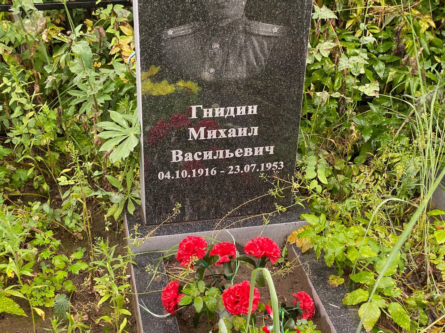 Гнидин