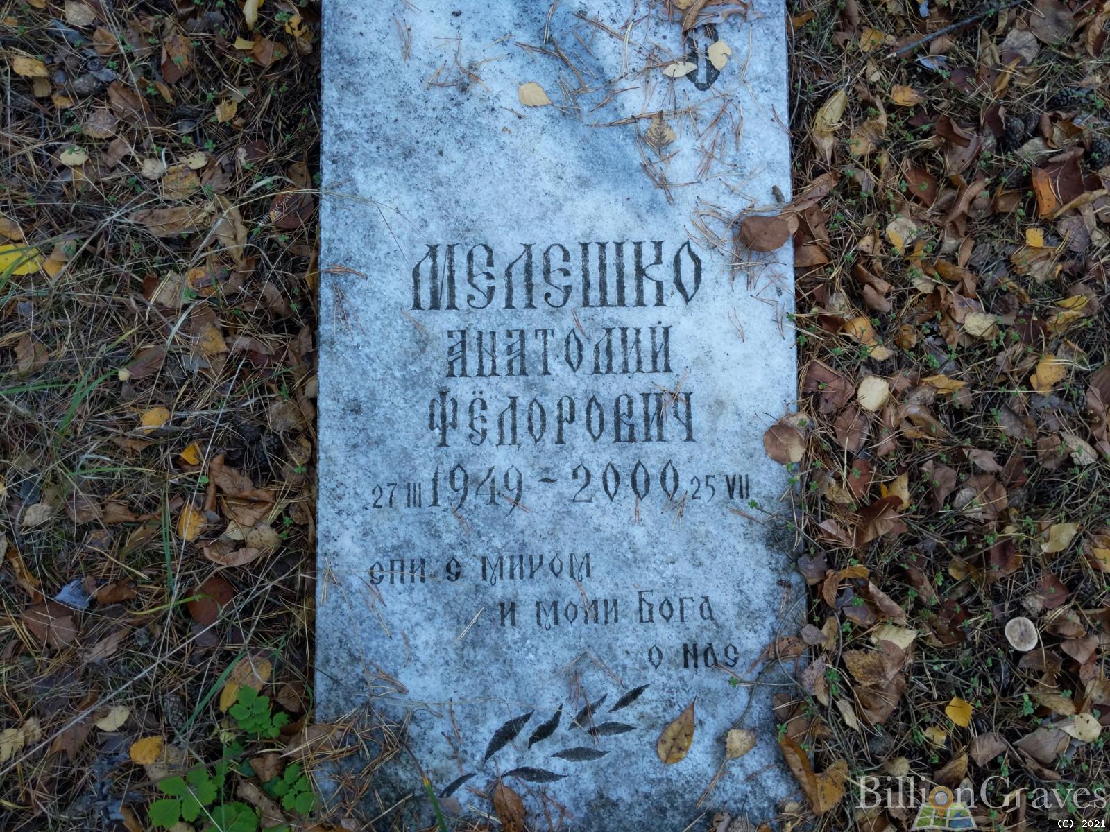 Мелешко Анатолий Фёдорович