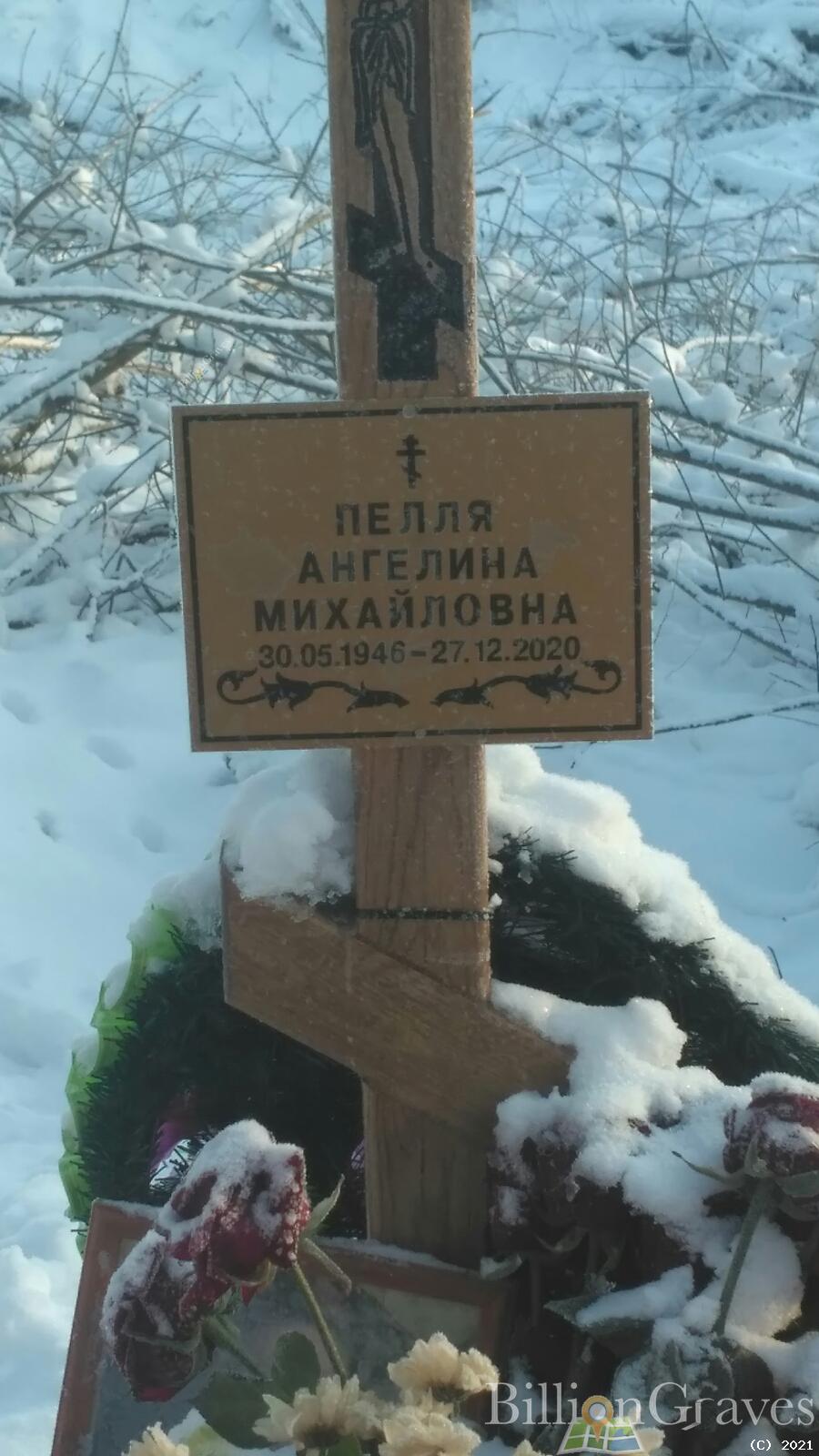 Пелля Ангелина Михайловна