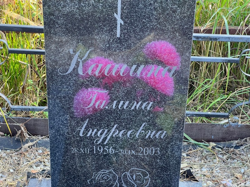 Кашина