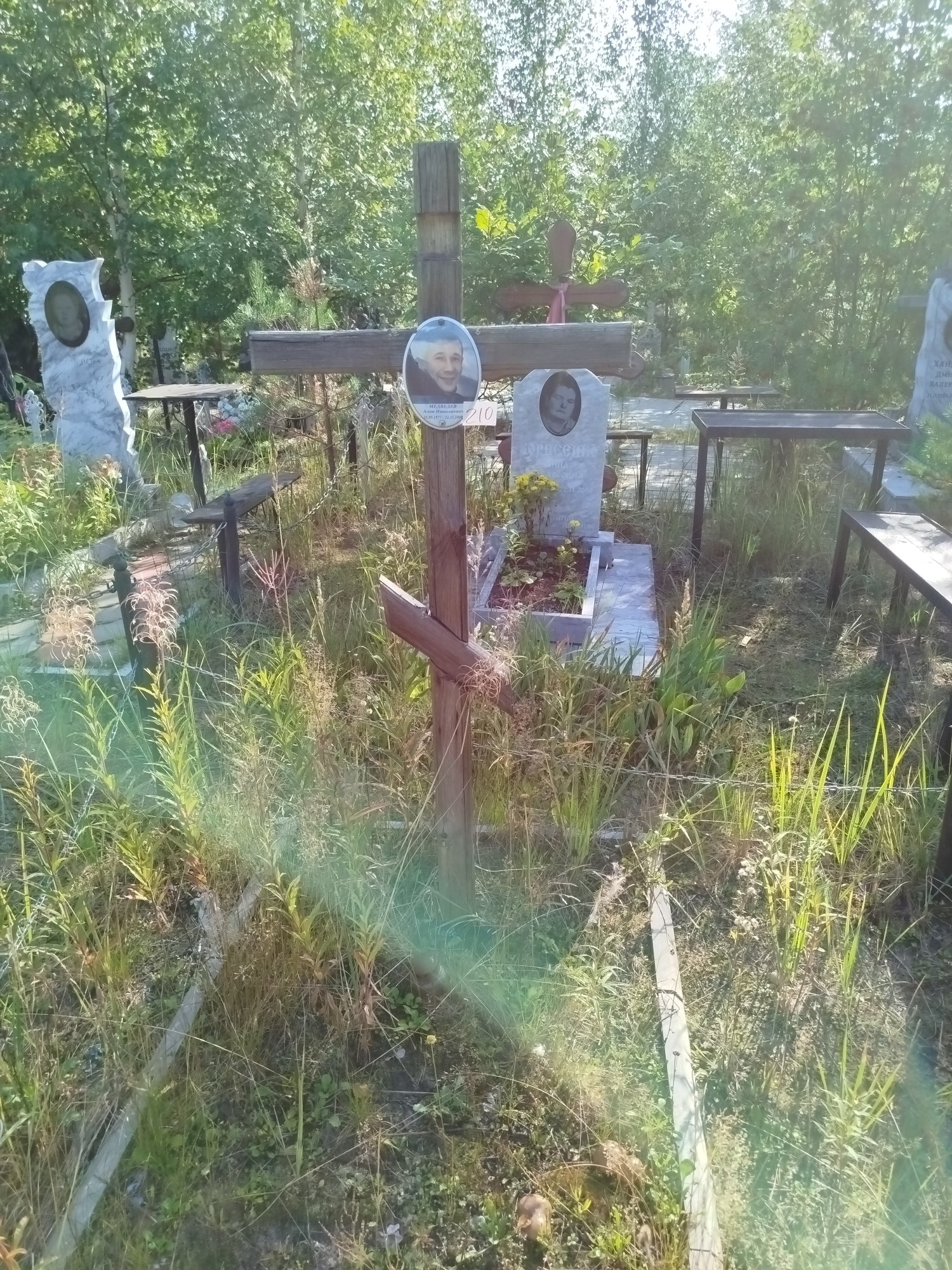 Медведев Алик Николаевич